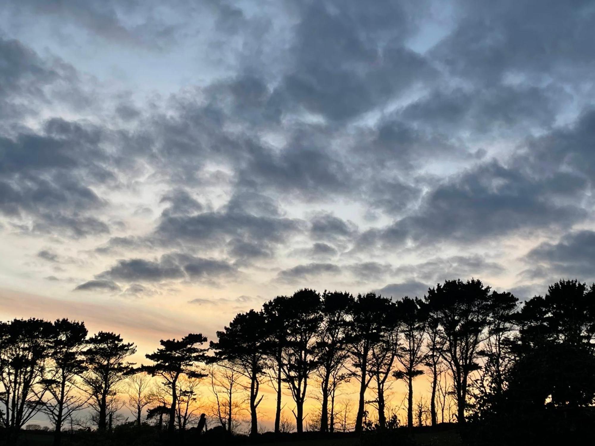 Fowey River Views Экстерьер фото